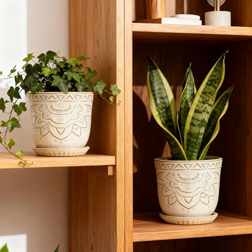 Gepege Ceramic Plant Pots, 6 Inch Indoor Planters with Drainage & Saucers - color: White-c, size: 6 Inch - Set of 2