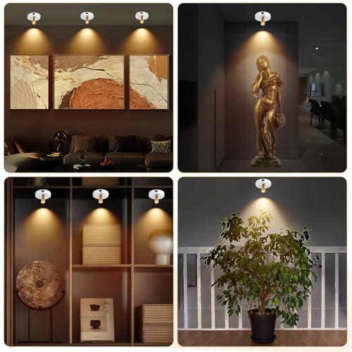 Rechargeable Spotlight, Battery Operated Picture Lights with Remote - color: chargeable White+G