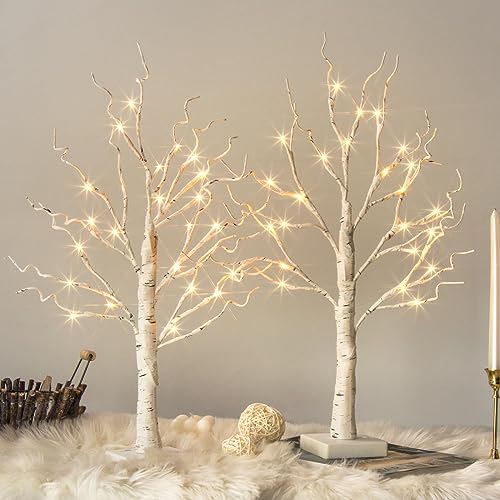Vanthylit White Birch Tree with LED Lights - Set of 2, Tabletop Tree with Timer, Christmas Decorations Lighted Tree for Indoor Mantel Home Decor (2 FT, 24 LED) - size: 2pk Birch Tree