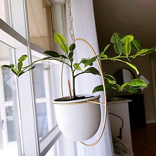 2 Pack Hanging Planter with 5.5" Pot, Metal Hanging Plant Holder - color: Gold & White