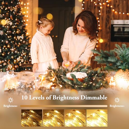 2 Pack 33FT 100 LED Fairy Lights Battery Operated with Timer & Remote