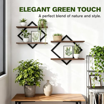 2 Pack Floating Wall Shelves Plant Holders, Brown - color: Rustic Brown-2pack