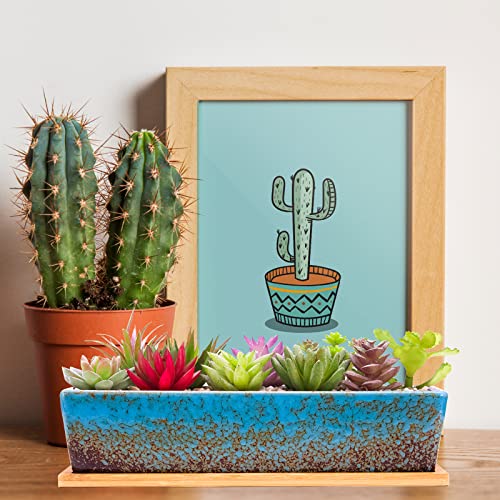 Succulent Pots - 12.1 Inch Large Succulent Planters Pots with Drainage Tray - color: Blue