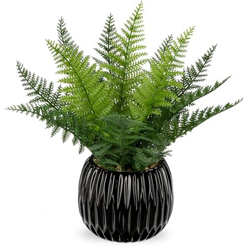 DILATATA Faux Plant Indoor in Ceramic Pot 11" Artificial Potted Fern Fake House Plants for Desk Office Bathroom Garden Decoration - Black - color: Style #1-black