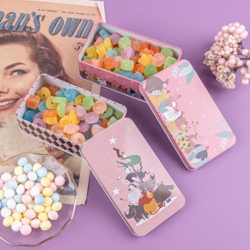 Framendino, 5 Pack Mini Tinplate Storage Boxes Small Empty Cartoon Trinket Jewelry Coin Containers Metal Rectangle Tin for Bead Case (Style C) - color: Cartoon