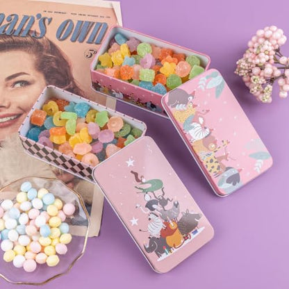 Framendino, 5 Pack Mini Tinplate Storage Boxes Small Empty Cartoon Trinket Jewelry Coin Containers Metal Rectangle Tin for Bead Case (Style C) - color: Cartoon