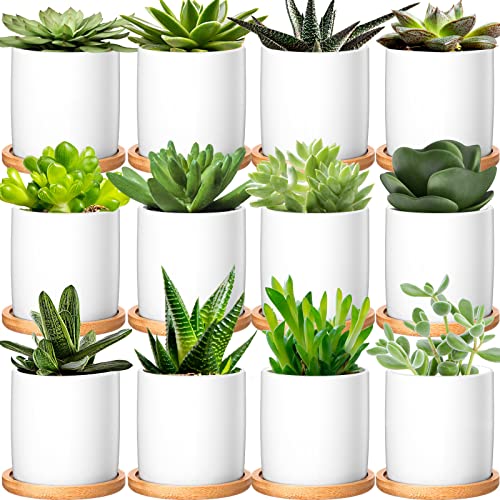 Cindeer 12 Pack Small Succulent Pots 3 Inch Plant Pots with Drainage,White - color: White