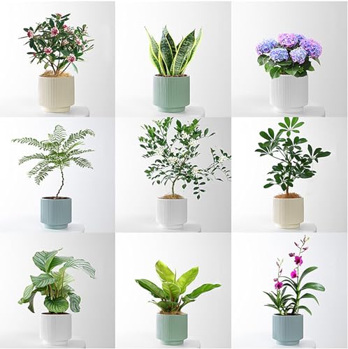 Ceramic 4.9+6.3 inch Planters, Modern Home and Office Flowerpot, Indoor and Outdoor Flowerpot with Drainage Hole (White) - color: White