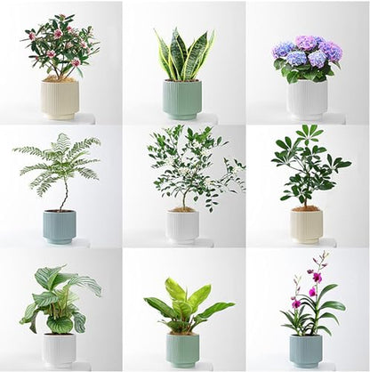 Ceramic 4.9+6.3 inch Planters, Modern Home and Office Flowerpot, Indoor and Outdoor Flowerpot with Drainage Hole (Grayish Blue) - color: Grayish Blue