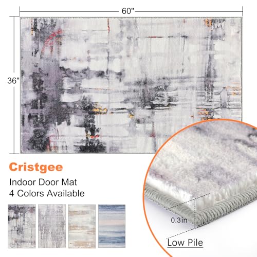 CRISTGEE Door Mat, Front Indoor Door Mat Faux Wool Non-Slip Entryway Rug Absorbent Abstract Throw Rug for Indoor Entrance Hallway Laundry Room, High Traffic Areas, 36X60 Inches, Washable - color: Multi Color, size: 3' x 5' (Rectangular)