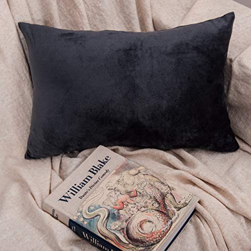 NTBAY King Velvet Pillowcases, Set of 2, Zipper, Charcoal Grey - color: Charcoal Grey, size: 36" x 20" (Pack of 2)