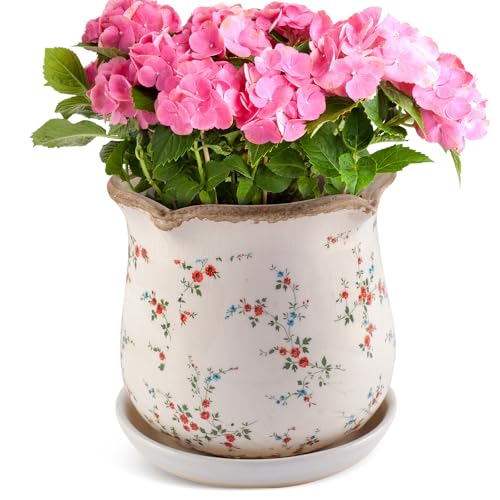 Ceramic-Planters-for-Indoor-Plants with Saucer, 6 inch Vintage Ice Crackle Glaze Plant Pots with Drainage Holes, Decorative Flower Pots for Outdoor Garden Home Decor, Tuscan Pot for Plant - color: Tiny Red