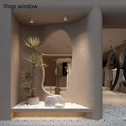 Ceiling Light Fixture, Flush Mount Ceiling Lights LED Dimmable Cylinder Ceiling Light Spot Light for Living Room Hallway Kitchen Dining Room Foyer 3000K 14.5W (White) 2-Pack - color: White 2pack