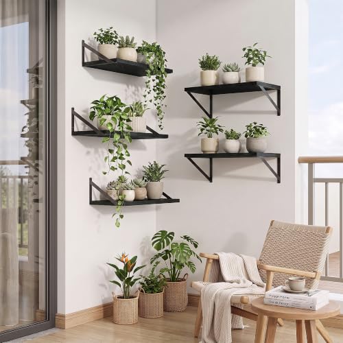 Axeman Deep Floating Shelves, 18'' x 10'' Black Wall Shelves Set of 2 - color: Black, size: 18W x 10D
