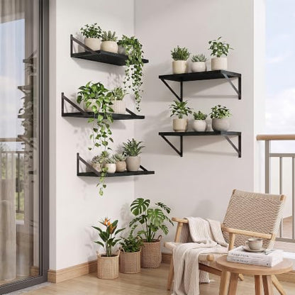 Axeman Deep Floating Shelves, 18'' x 10'' Black Wall Shelves Set of 2 - color: Black, size: 18W x 10D