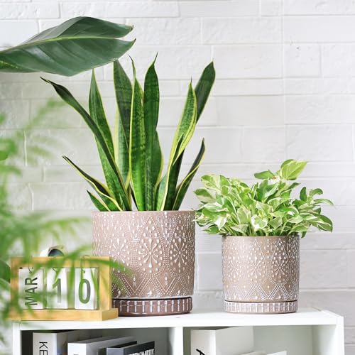 8 Inch + 6 Inch Plant Pot with Drainage Holes and Saucers, Indoor Ceramic Planter for Plants Succulent Orchid Flower Pots - color: Clay White, size: 8Inch+6Inch