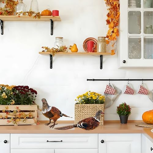 naturevibe Feathered Pheasant Decor Set of 2 for Autumn Fall Thanksgiving - style: Pheasant Decor-Set of 2