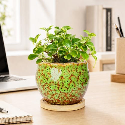 ARTKETTY Succulent Pots, 4 Pack Small Plant Pots with Drainage Tray - color: 4'' Colorful 2