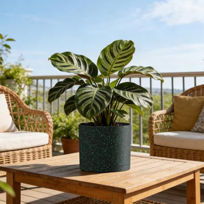 Plant Pots, 10/9/8 Inch 3 Pack Cylindrical Flower Pots with Drainage Holes and Saucers, Plastic Planters for Outdoor Indoor Plants, Black with Green Speckles - color: Black With Green Speckles