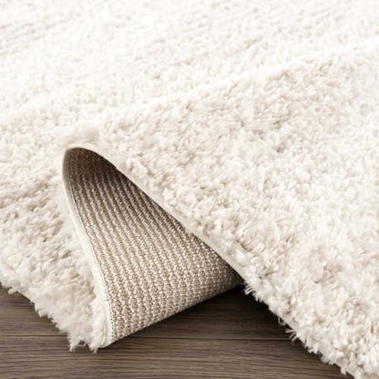 Hauteloom Winnebago Living Room, Bedroom Area Rug - Bohemian, Transitional - Plush Pile - Light Beige, Cream - 4'3" x 5'7" - color: Light Beige, Cream / Galaxy Shag, size: 4'3" x 5'7" (Rectangular)