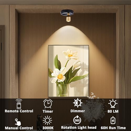 RAHAN Wireless LED Spotlight, 2Pack Battery Powered Picture Lights Puck Lights, Uplighting Indoor with Remote, Stick Spot Light for Wall Art Display Dartboard Painting Artwork Accent Closet - color: Black-G