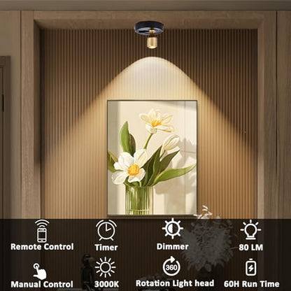 RAHAN Wireless LED Spotlight, 2Pack Battery Powered Picture Lights Puck Lights, Uplighting Indoor with Remote, Stick Spot Light for Wall Art Display Dartboard Painting Artwork Accent Closet - color: Black-G