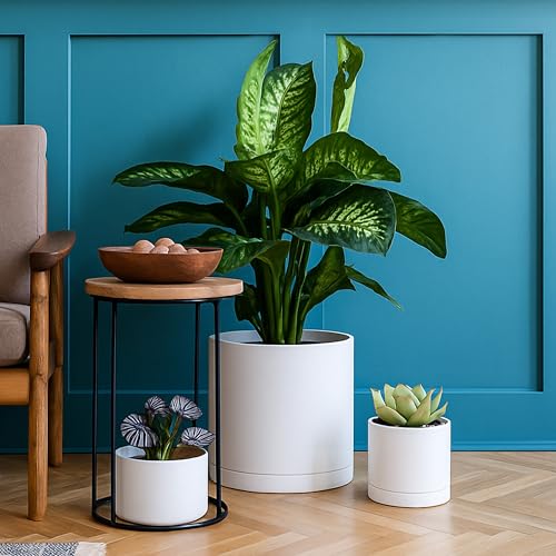 D'vine Dev Plastic Planter Pot with Saucer, 12 in, White, 74-X-A-3 - color: Matte White, size: 12 Inch
