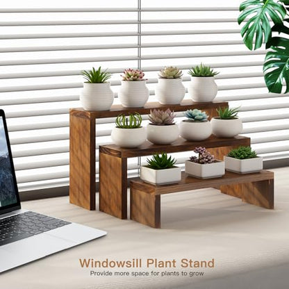 Plant Stand Shelf for Desk Window Sill Countertop Succulent Stand