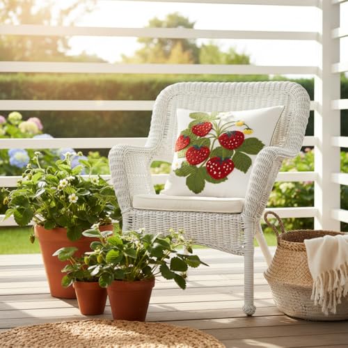 Embroidered Throw Pillow Covers 18x18 inch Pack of 2 Red Strawberry - color: Red Strawberry