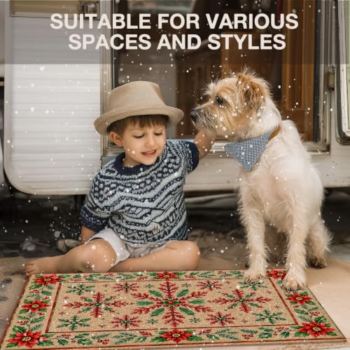 Christmas Snowflake Floral Faux Coco Coir Doormat Door Mat 17x30 - color: Christmas 02