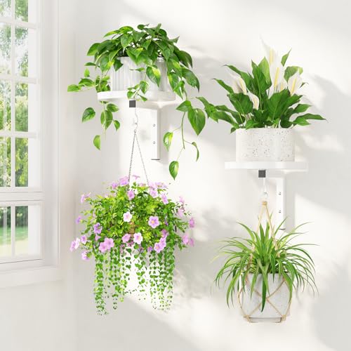 LASZOLA Plant Hanger Holder Window Shelf Wall Mounted Indoor, 2 Pcs White - color: White, size: 2