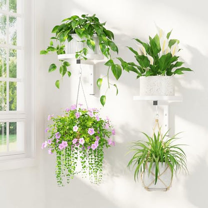 LASZOLA Plant Hanger Holder Window Shelf Wall Mounted Indoor, 2 Pcs White - color: White, size: 2