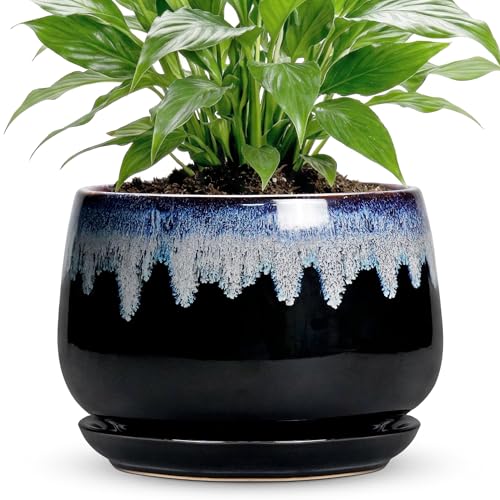 Ceramic Plant Pots 7 Inch, Ceramic Planter with Saucer, Black-Blue - size: 7 Inch, style: Black-blue