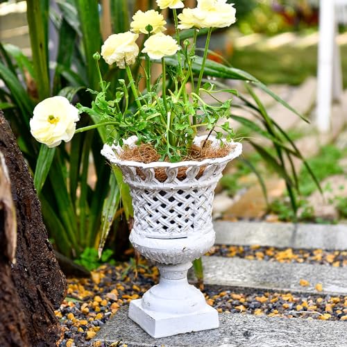 Sungmor Cast Iron White Urn Planter - 10 Inches Hollow Trophy-Shaped Design - color: Antique White - Urn
