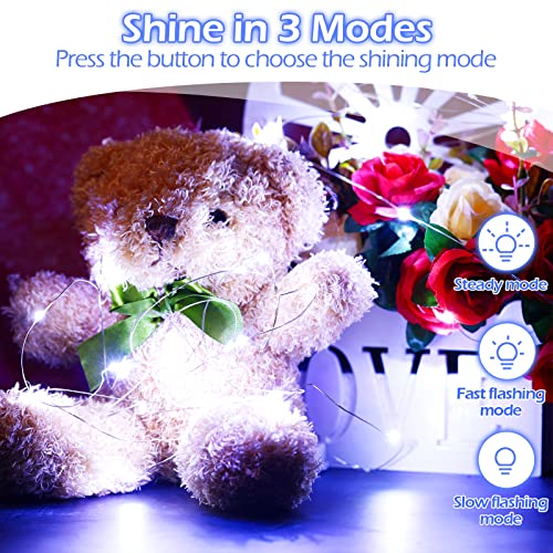Hortsun 100 Pack Battery Operated Fairy Lights 7 ft 20 LED, Cool White - color: Cool Light