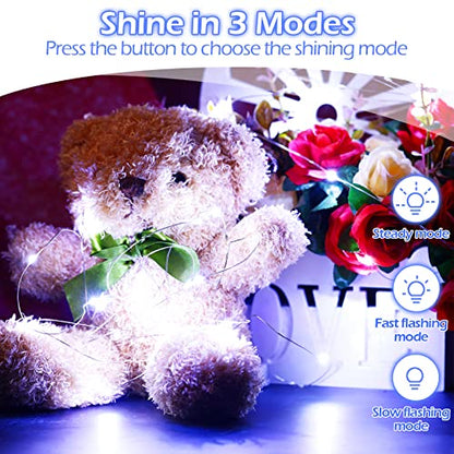 Hortsun 100 Pack Battery Operated Fairy Lights 7 ft 20 LED, Cool White - color: Cool Light