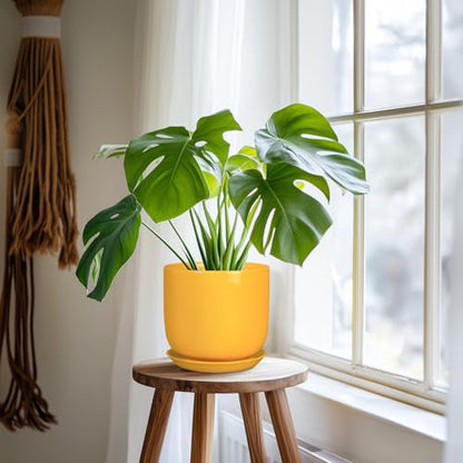 Indoor Plant Pot, 7 Inch Round Ceramic Planter, Yellow - color: Gloss Yellow, size: 7 Inch
