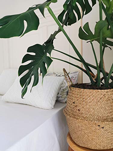 DOKOT Seagrass Plant Basket with Handles, Wicker Woven Storage Basket, 9.5inch Diameter x 11inch Height - size: L(9.5" D x 11" H)