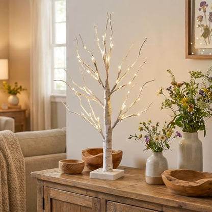 Vanthylit Lighted Tree, White Birch Tree with LED Lights, Prelit Artificial Tree with Timer, Centerpiece Tree Light for Christmas Decorations, Light Up Tabletop Tree Home Decor (2 FT, Warm White) - size: 2ft