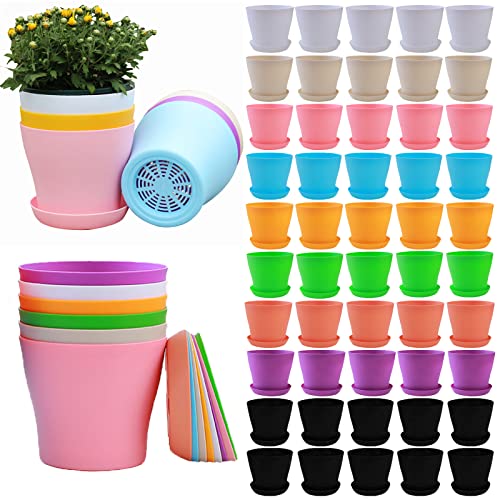 Tergy 50 Pack 4 Inch Plant Pots Bulk Small Plastic Planters Pots with Drainage Holes Flower Pot for Succulent, Cactus, Herb, African Violet (50pcs-Multicolor, 4Inches) - color: 50pcs-multicolor, size: 4Inches