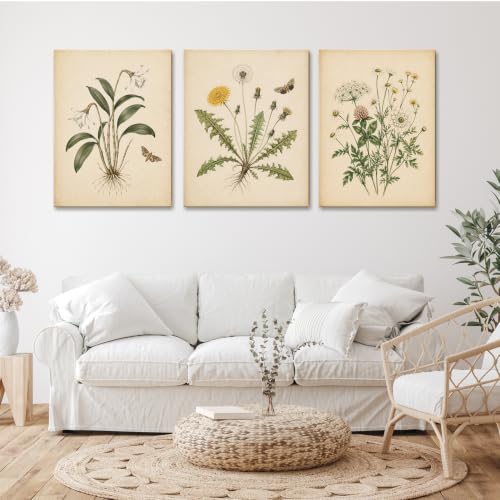 Antique Vintage Botanical Canvas Wall Art Set of 3, Old Paper Wildflower Dandelion Daffodil Butterfly Prints, Farmhouse Neutral Floral Wall Decor, 16x24 Inch framed Plant Posters for Home Decor - color: 02, size: 16" L x 24"W
