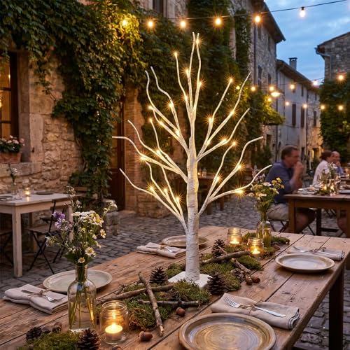 Vanthylit Lighted Tree, White Birch Tree with LED Lights, Prelit Artificial Tree with Timer, Centerpiece Tree Light for Christmas Decorations, Light Up Tabletop Tree Home Decor (2 FT, Warm White) - size: 2ft