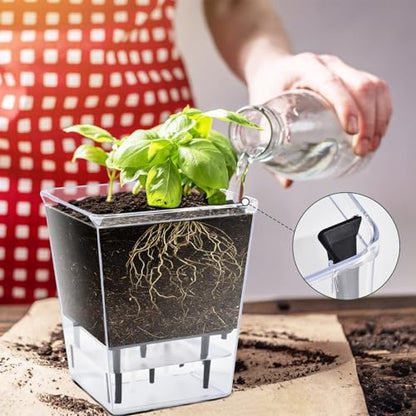 Self Watering Pots Set, Clear Self Planter Pot for Indoor Plants - size: Large, Medium, Small