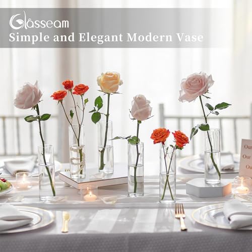 Glasseam Cylinder Bud Vases in Bulk 24: Clear Small Glass Vases for Flowers