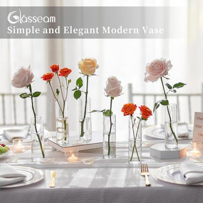 Glasseam Cylinder Bud Vases in Bulk 24: Clear Small Glass Vases for Flowers