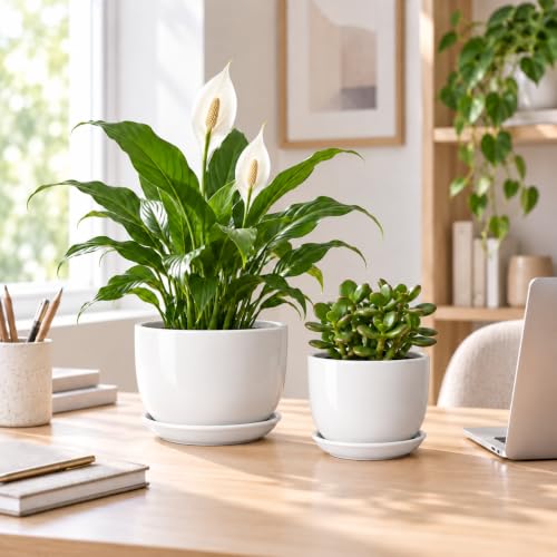 6.7 + 5.5 Inch Ceramic Plant Pot with Drainage and Saucer - size: 6.7 + 5.5 Inch 2 Pcs
