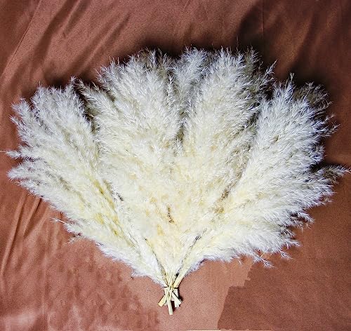 10 PCS Beige Pampas Grass Decor, Naturally Dried Pompas, Bunny Tails Dried Flowers, and Dried Eucalyptus. Perfect for Weddings, Boho Party Decorations, and Table Decor(17inch) - size: 10PCS-17inch