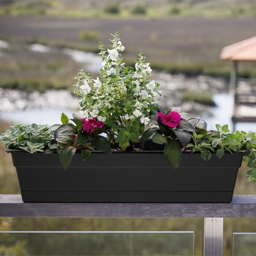 Bloem Dura Cotta 18" Plastic Window Box Planter with Saucer, Black, 3-Pack - color: Black, size: 18" (Pack of 3)