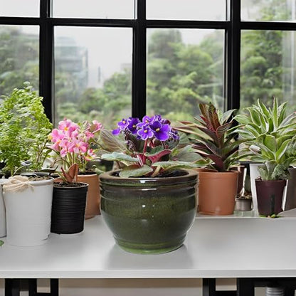 African Violet Self Watering Pots Olive drab 6 inch - color: Olive Drab