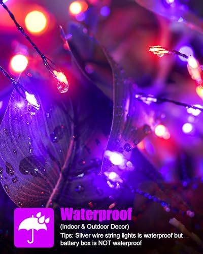 Minetom Fairy Lights Battery Operated, Twinkle String Lights 5ft 60LED - color: Orange & Purple